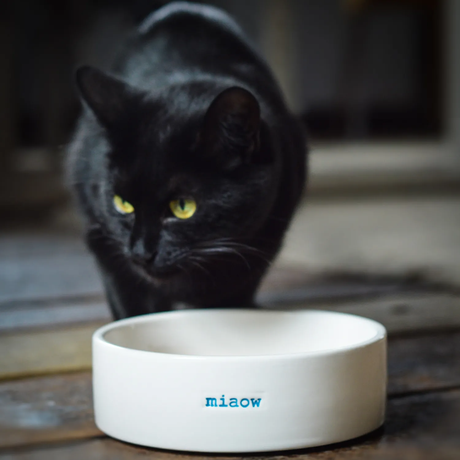 Keith Brymer Jones - Cat Bowl - miaow^ Keith Brymer Jones | Plates & Bowls